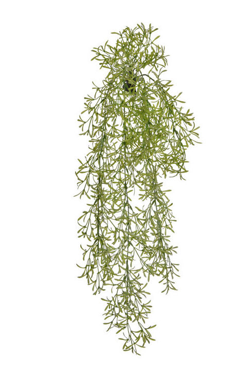 MATA COLGANTE SPRENGERI PLASTICO. COLOR:VERDE CLARO. REF.:60060060/LTGR PRECIO:4,25 € MATA COLGANTE SPRENGERI PLASTICO. COLOR:VERDE CLARO. REF.:60060060/LTGR PRECIO:4,25 €