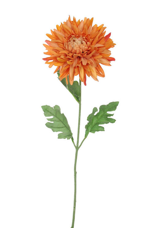 VARA MUM DE TERCIOPELO. COLOR:NARANJA REF.:35020025/OR PRECIO:2,10 € VARA MUM DE TERCIOPELO. COLOR:NARANJA REF.:35020025/OR PRECIO:2,10 €