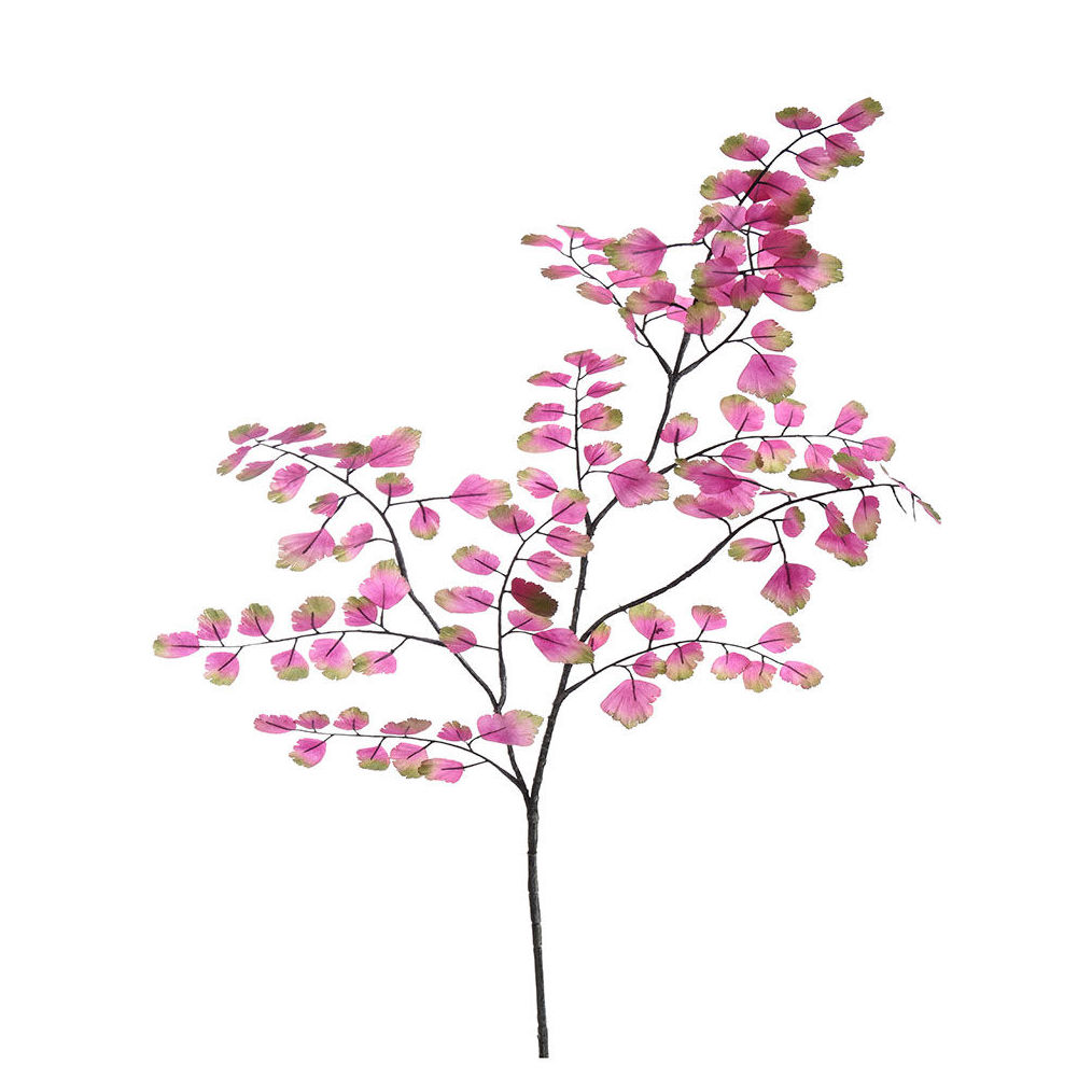 VARA DE MAIDENHAIR (93CM)/ BEAUTY REF: 12210002/BE PRECIO: 4,50€ VARA DE MAIDENHAIR (93CM)/ BEAUTY REF: 12210002/BE PRECIO: 4,50€