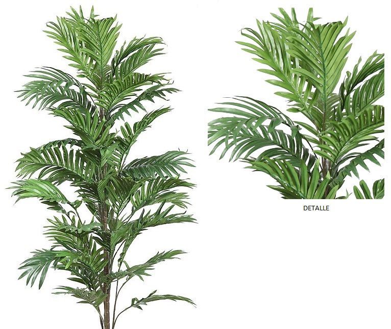 PALMERA ARECA (D.57xH.122CM) REF: BXM065601 PRECIO:35,00€ PALMERA ARECA (D.57xH.122CM) REF: BXM065601 PRECIO:35,00€