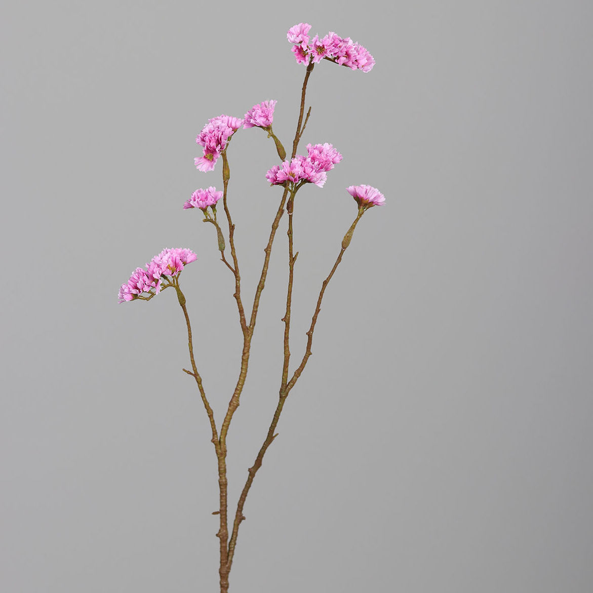 VARA STATICE (67CM)/ ROSA REF: 55078-03 PRECIO: 2,95€ VARA STATICE (67CM)/ ROSA REF: 55078-03 PRECIO: 2,95€