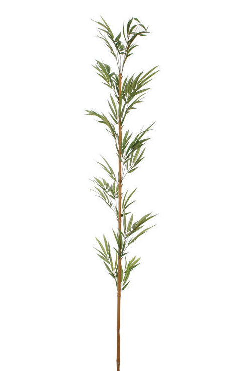 CAÑA DE BAMBOO C/HOJAS (240CM)/ VERDE REF: 12010113/GR PRECIO: 15,00€ CAÑA DE BAMBOO C/HOJAS (240CM)/ VERDE REF: 12010113/GR PRECIO: 15,00€