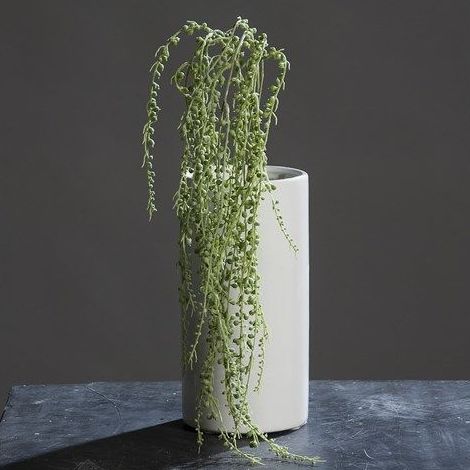 PLANTA COLGANTE GRASA. COLOR:VERDE REF.:60010162/GR PRECIO: 5,10 € PLANTA COLGANTE GRASA. COLOR:VERDE REF.:60010162/GR PRECIO: 5,10 €