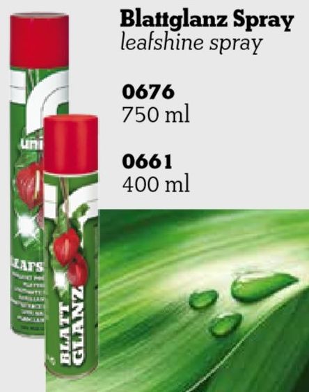 SPRAY ABRILLANTADOR UNION// MEDIDA (1) 750ML REF: 0676 PRECIO: 3,95€ (OFERTA X12 UD EL PRECIO SE REDUCE A 2,95€/UD.)// MEDIDA (2) 400ML REF: 0661 PRECIO: 2,75€ (OFERTA X12 UD EL PRECIO SE REDUCE A 1,75€/UD.) SPRAY ABRILLANTADOR UNION// MEDIDA (1) 750ML REF: 0676 PRECIO: 3,95€ (OFERTA X12 UD EL PRECIO SE REDUCE A 2,95€/UD.)// MEDIDA (2) 400ML REF: 0661 PRECIO: 2,75€ (OFERTA X12 UD EL PRECIO SE REDUCE A 1,75€/UD.)