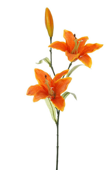 PICK TIGERLILY (48CM) COLOR:CREMA REF.:41568/CR PRECIO:1,25 € PICK TIGERLILY (48CM) COLOR:CREMA REF.:41568/CR PRECIO:1,25 €