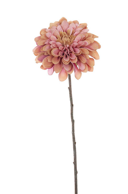 VARA DAHLIA. (56CM) / MALVA REF.:30020012/MA PRECIO:3,30 € VARA DAHLIA. (56CM) / MALVA REF.:30020012/MA PRECIO:3,30 €