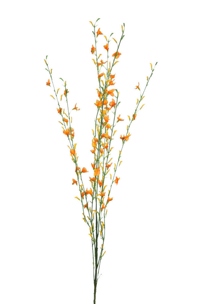 PQTE.12 UNID. VARA DE RELLENO TELA. (80 CM.) COLOR: NARANJA REF.:11742F.12 PRECIO: 0,60 € C/U PQTE.12 UNID. VARA DE RELLENO TELA. (80 CM.) COLOR: NARANJA REF.:11742F.12 PRECIO: 0,60 € C/U