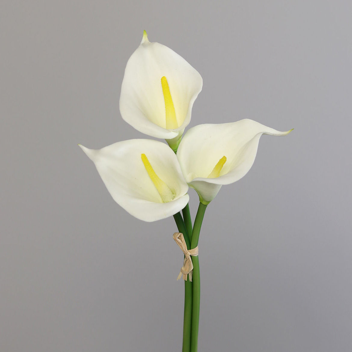 ATADO x12 CALAS (32CM)/ CREMA REF: 43572-05 PRECIO: 9,60€ ATADO x12 CALAS (32CM)/ CREMA REF: 43572-05 PRECIO: 9,60€