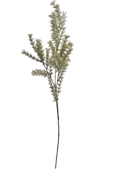 VARA ASPARAGUS/ BLANCO REF: 12060027/WH PRECIO: 1,95€ VARA ASPARAGUS/ BLANCO REF: 12060027/WH PRECIO: 1,95€