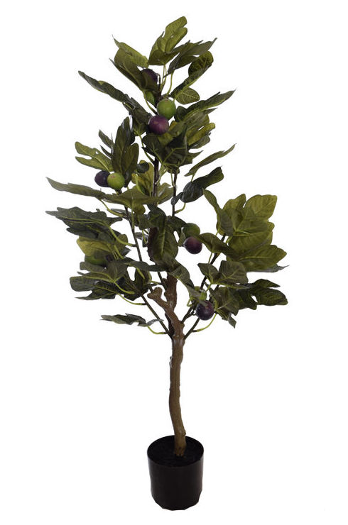 ARBOL HIGUERA X 15 FRUTOS (90 CM) REF:56070002 PRECIO: 28,50 € ARBOL HIGUERA X 15 FRUTOS (90 CM) REF:56070002 PRECIO: 28,50 €