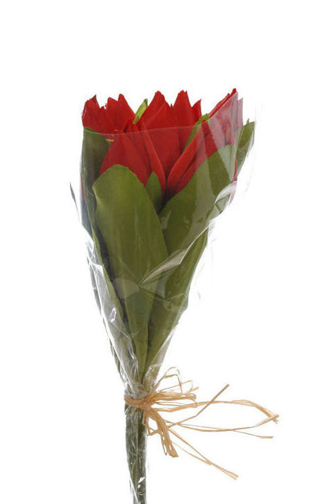 ATADO TULIPAN X7 (30CM)/ RED REF: 54023/RE PRECIO: 3,60€ ATADO TULIPAN X7 (30CM)/ RED REF: 54023/RE PRECIO: 3,60€
