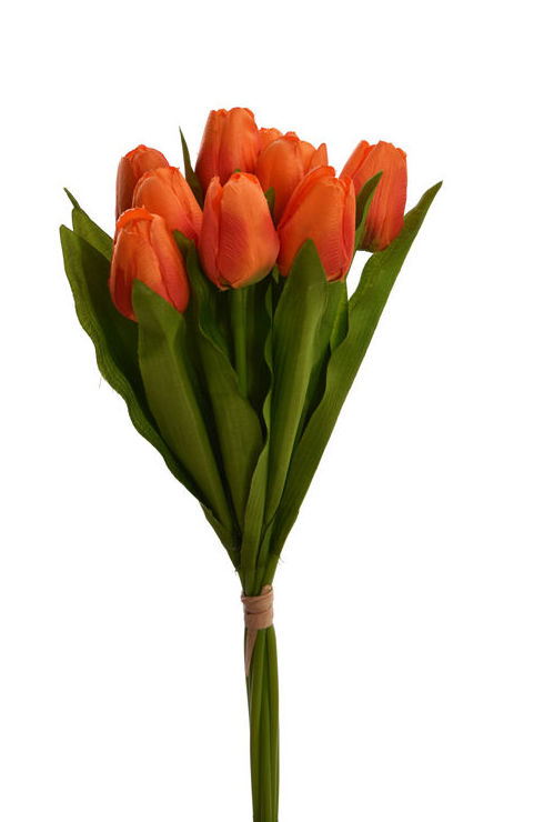 ATADO X9 TULIPANES. COLOR:NARANJA REF.:50060112/OR PRECIO:3,90 € ATADO X9 TULIPANES. COLOR:NARANJA REF.:50060112/OR PRECIO:3,90 €