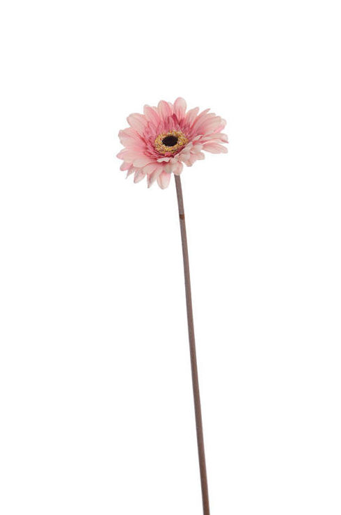 VARA GERMINI (62CM)/ ROSA REF: 30020036/PI PRECIO: 2,15€ VARA GERMINI (62CM)/ ROSA REF: 30020036/PI PRECIO: 2,15€