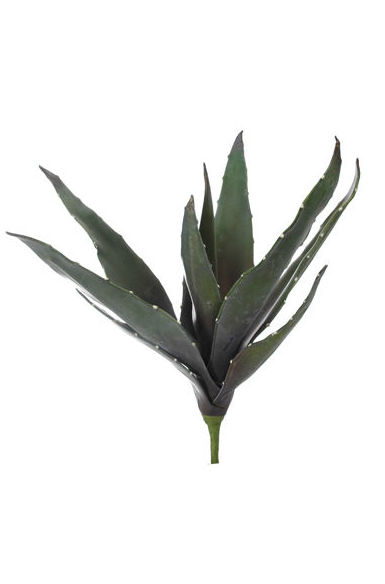 MATA ALOE MEDIANO FOAM (41CM). COLOR: GREEN REF.:61413/GR PRECIO: 7,55 € MATA ALOE MEDIANO FOAM (41CM). COLOR: GREEN REF.:61413/GR PRECIO: 7,55 €