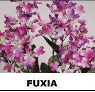 RAMO LILAC x9 (48CM) COLOR: FUXIA REF: 6139 PRECIO: 1,80€ RAMO LILAC x9 (48CM) COLOR: FUXIA REF: 6139 PRECIO: 1,80€