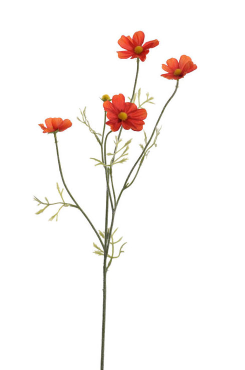 VARA COSMOS (62CM). COLOR:NARANJA REF.:40020065/OR PRECIO:1,75 € VARA COSMOS (62CM). COLOR:NARANJA REF.:40020065/OR PRECIO:1,75 €