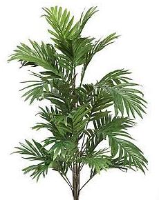 PLANTA ARECA TELA (92 CM) S/MACETERO COLOR:VERDE REF.:65600 PRECIO:16,50 € PLANTA ARECA TELA (92 CM) S/MACETERO COLOR:VERDE REF.:65600 PRECIO:16,50 €