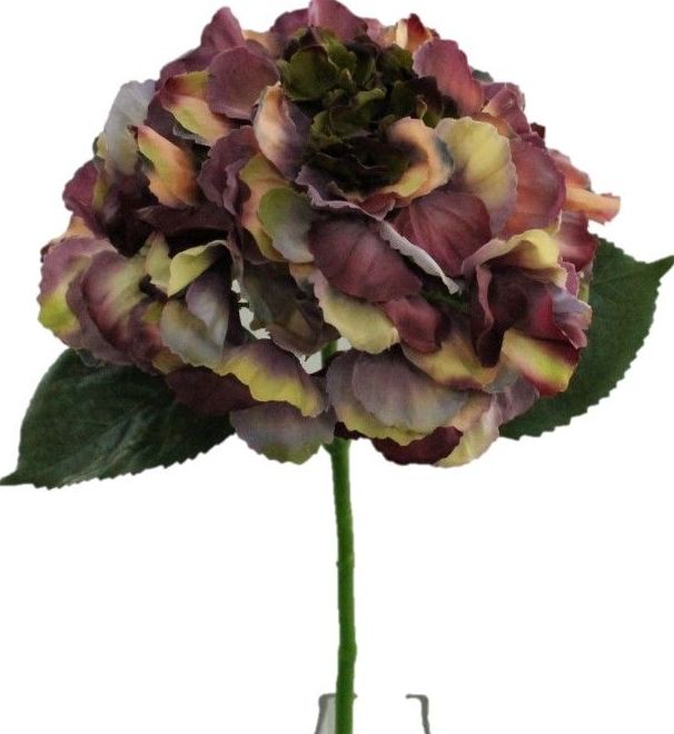 VARA AGUA HORTENSIA TACTO/ COLOR: LILA REF: 7079 LIL PRECIO: 2,80€ VARA AGUA HORTENSIA TACTO/ COLOR: LILA REF: 7079 LIL PRECIO: 2,80€