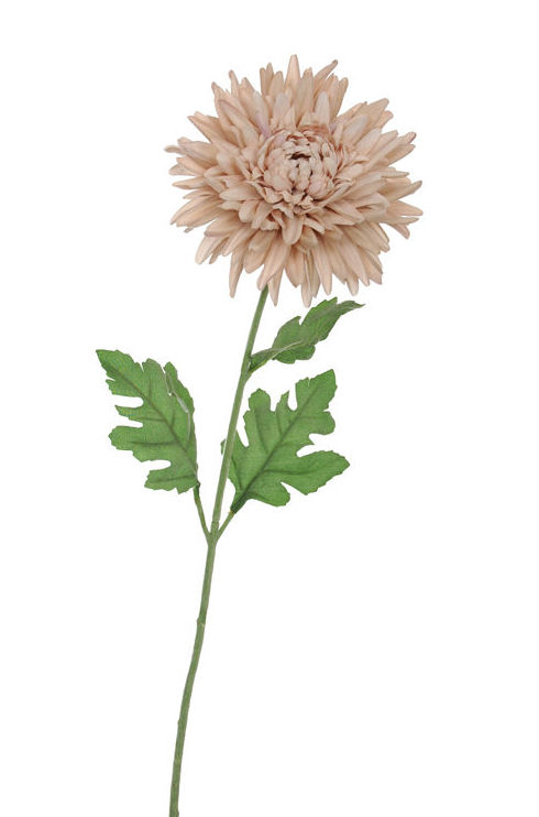 VARA MUM TERCIOPELO. COLOR:NBEIG REF.:35020025/BEI PRECIO:2,10 € VARA MUM TERCIOPELO. COLOR:NBEIG REF.:35020025/BEI PRECIO:2,10 €