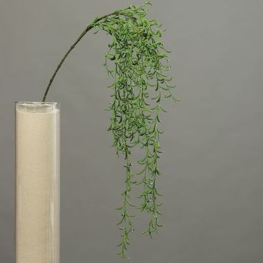 VARA SUCULENTA COLGANTE(120CM) COLOR: VERDE REF.:54929 PRECIO: 5,90 € VARA SUCULENTA COLGANTE(120CM) COLOR: VERDE REF.:54929 PRECIO: 5,90 €