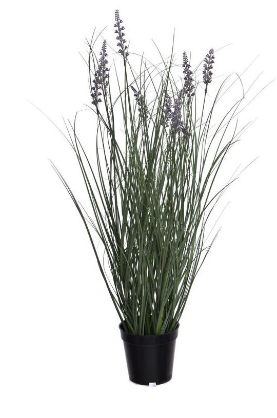 MACETA PVC MATA LAVANDA (73CM)/ LAVANDA REF: 56110090/LAV PRECIO: 16,50€ MACETA PVC MATA LAVANDA (73CM)/ LAVANDA REF: 56110090/LAV PRECIO: 16,50€