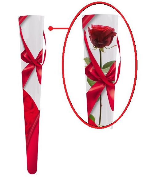 CUCURUCHO DE ACETATO MODELO "Ribbon & Roses" (6x2x52,5cm)/ ROJO REF: M40197 PRECIO: 1€/UD (SE VENDEN EN PQTES X10 UNIDADES) CUCURUCHO DE ACETATO MODELO "Ribbon & Roses" (6x2x52,5cm)/ ROJO REF: M40197 PRECIO: 1€/UD (SE VENDEN EN PQTES X10 UNIDADES)