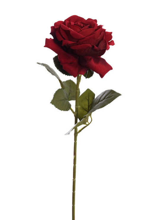 VARA ROSA TERCIOPELO ABIERTA GRD. COLOR:ROJO REF.:30060016/RE PRECIO: 2,10 € VARA ROSA TERCIOPELO ABIERTA GRD. COLOR:ROJO REF.:30060016/RE PRECIO: 2,10 €