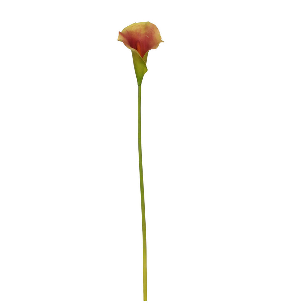CALA MEDIANA DE TACTO NATURAL (67CM)/ VERDE-MARRÓN REF: 30653/GRBR PRECIO: 2,05€ CALA MEDIANA DE TACTO NATURAL (67CM)/ VERDE-MARRÓN REF: 30653/GRBR PRECIO: 2,05€