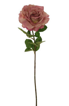 Rosas abiertas: CATÁLOGO de Fernando Gallego, S.C.P. Rosas abiertas: CATÁLOGO de Fernando Gallego, S.C.P.