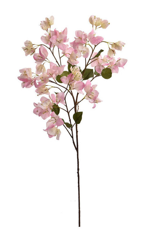 VARA BOUGANVILLIA (91CM)/ ROSA REF: 40020272/PI PRECIO: 7,85€ VARA BOUGANVILLIA (91CM)/ ROSA REF: 40020272/PI PRECIO: 7,85€