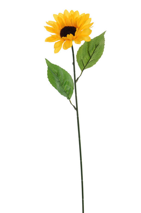 PQTEx6 VARAS DE GIRASOL (68CM)/ AMARILLO REF: 30060019/YEL PRECIO: 6,00€/PQTE (1,00€/UD) PQTEx6 VARAS DE GIRASOL (68CM)/ AMARILLO REF: 30060019/YEL PRECIO: 6,00€/PQTE (1,00€/UD)