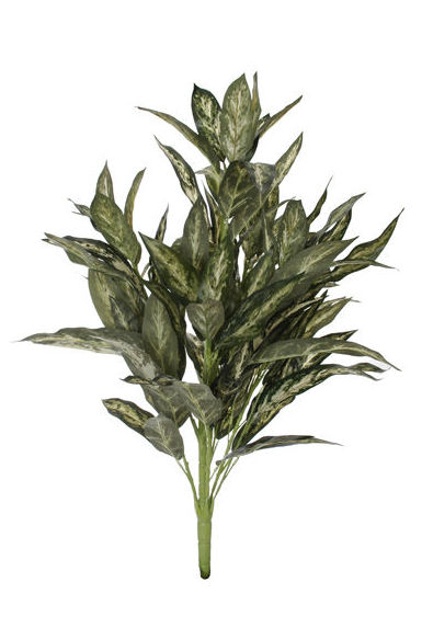 PLANTA AGLAONEMA X10 (80CM). COLOER:BLANCO/VERDE REF.:61266/WHGR PRECIO:11,75 € PLANTA AGLAONEMA X10 (80CM). COLOER:BLANCO/VERDE REF.:61266/WHGR PRECIO:11,75 €
