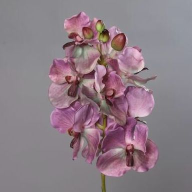 VARA WANDA TACTO NATURAL / LILA-ROSA REF:60411-26 PRECIO:9,50 € VARA WANDA TACTO NATURAL / LILA-ROSA REF:60411-26 PRECIO:9,50 €