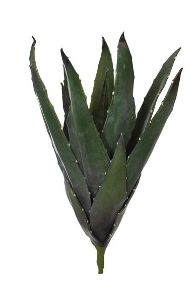 MATA ALOE GRANDE (60CM) FOAM. COLOR: VERDE REF.:61414/GR PRECIO: 15,10 € MATA ALOE GRANDE (60CM) FOAM. COLOR: VERDE REF.:61414/GR PRECIO: 15,10 €
