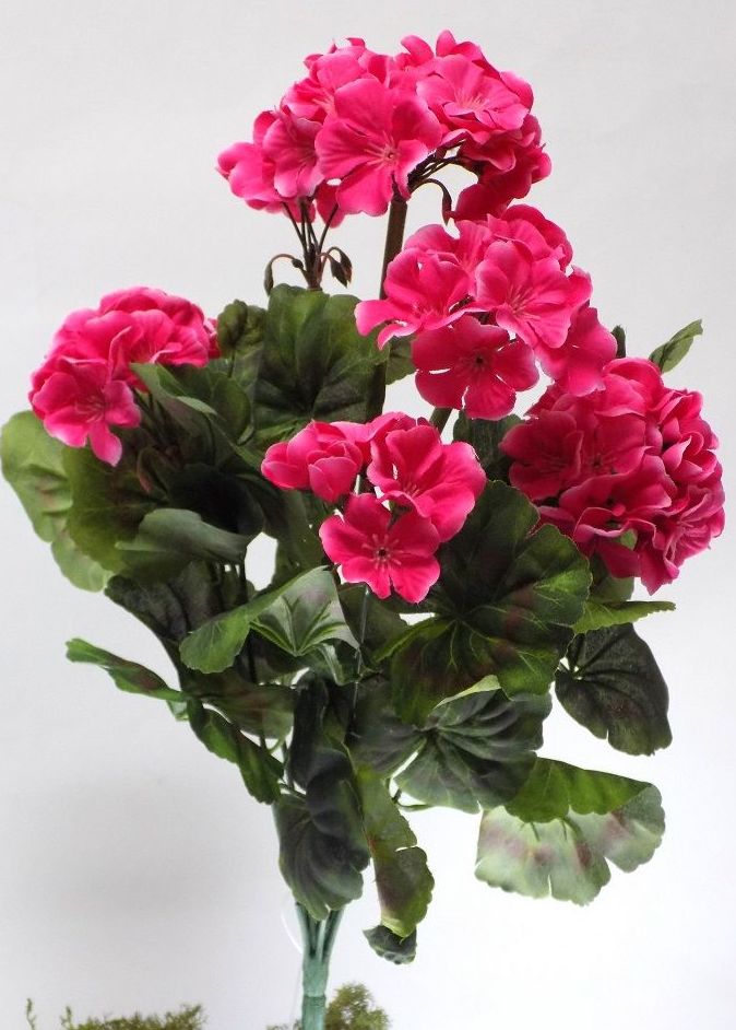POMO GERANIO (50CM). COLOR:FUXIA REF.:40000 FU PRECIO: 4,75 € POMO GERANIO (50CM). COLOR:FUXIA REF.:40000 FU PRECIO: 4,75 €