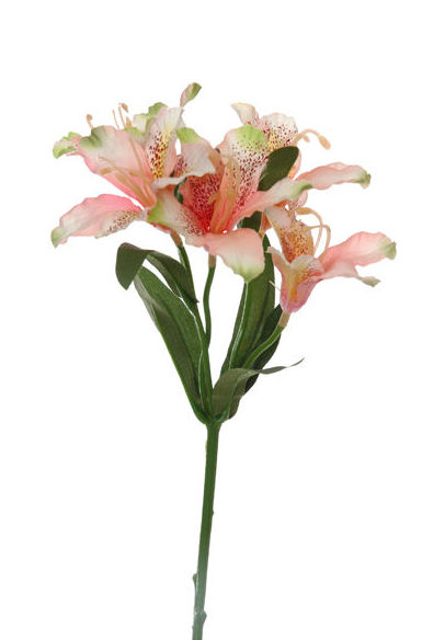 PICK (35CM) ASTROMERIA. COLOR:SALMON REF.:41325/SA PRECIO:2,10 € PICK (35CM) ASTROMERIA. COLOR:SALMON REF.:41325/SA PRECIO:2,10 €
