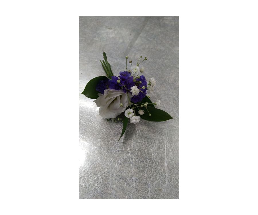 Prendidos de novios y padrinos: Catálogo de Flores Maranta Prendidos de novios y padrinos: Catálogo de Flores Maranta