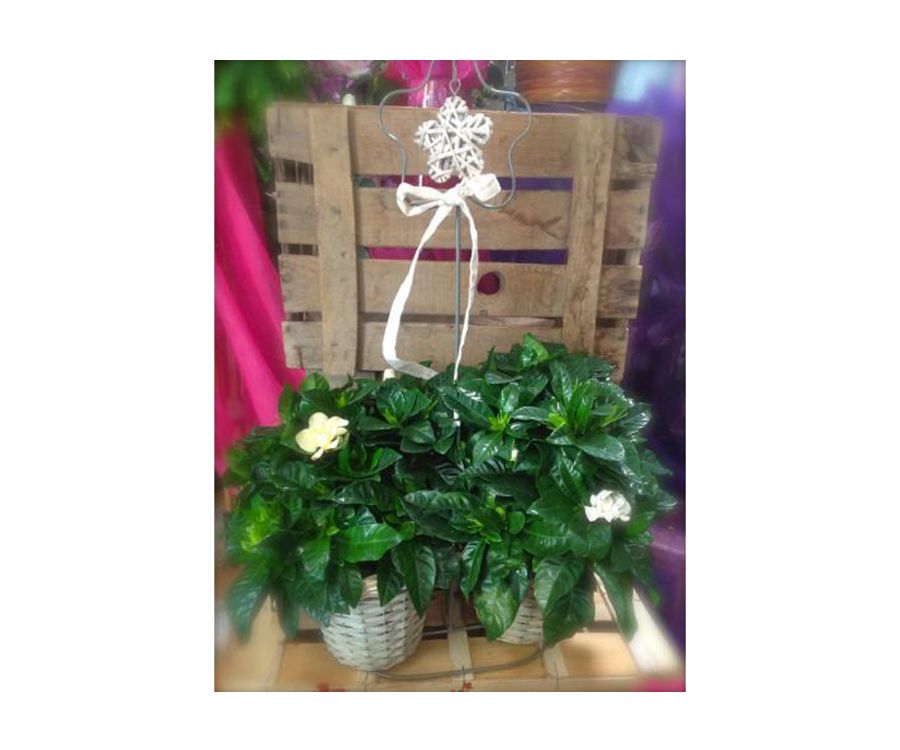 Gardenias en soporte decoración Gardenias en soporte decoración