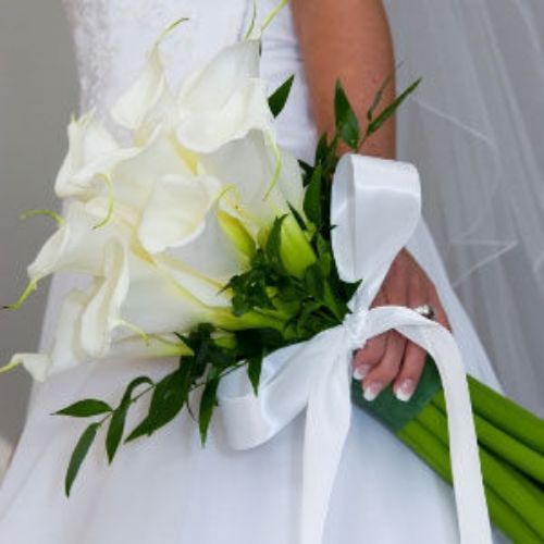 Ramos de novia: Catálogo de Flores Maranta Ramos de novia: Catálogo de Flores Maranta