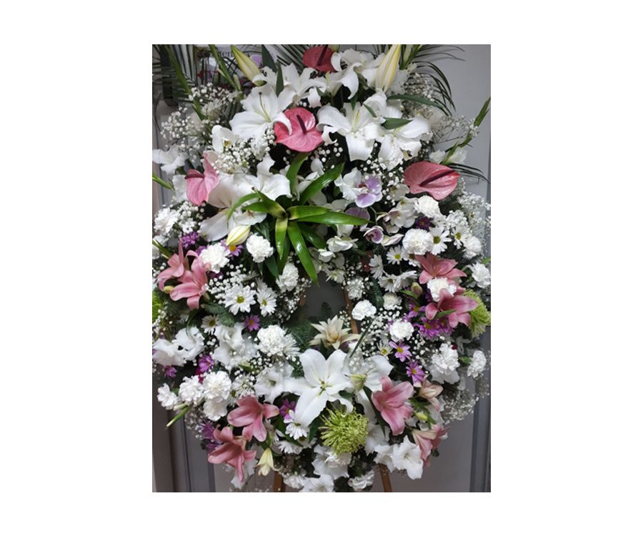 Funerarios: Catálogo de Flores Maranta Funerarios: Catálogo de Flores Maranta
