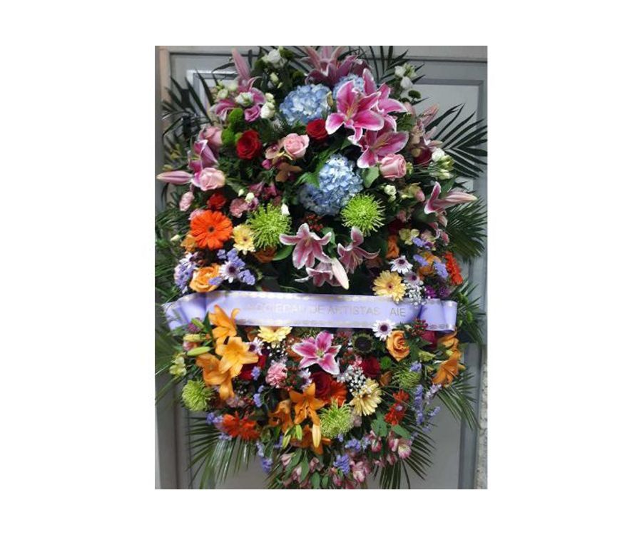 Funerarios: Catálogo de Flores Maranta Funerarios: Catálogo de Flores Maranta
