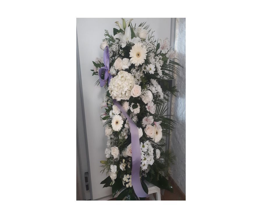 Funerarios: Catálogo de Flores Maranta Funerarios: Catálogo de Flores Maranta