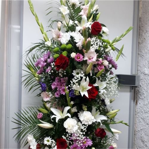 Funerarios: Catálogo de Flores Maranta Funerarios: Catálogo de Flores Maranta