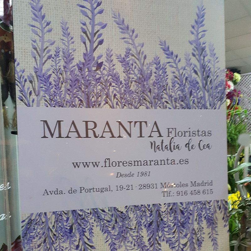 Foto 47 de Floristerías en  | Flores Maranta