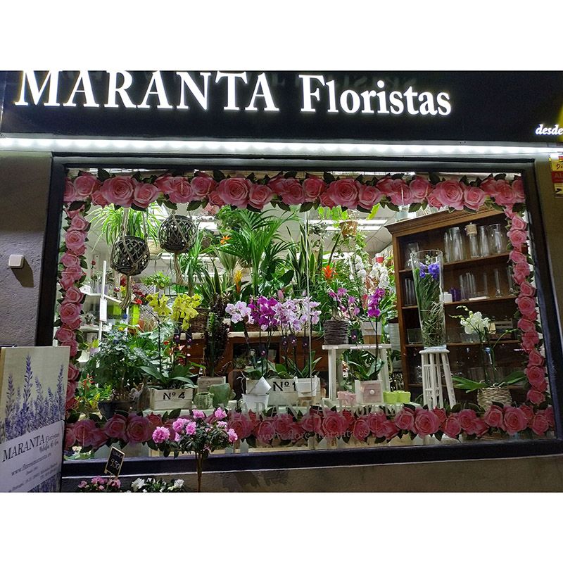 Foto 52 de Floristerías en  | Flores Maranta