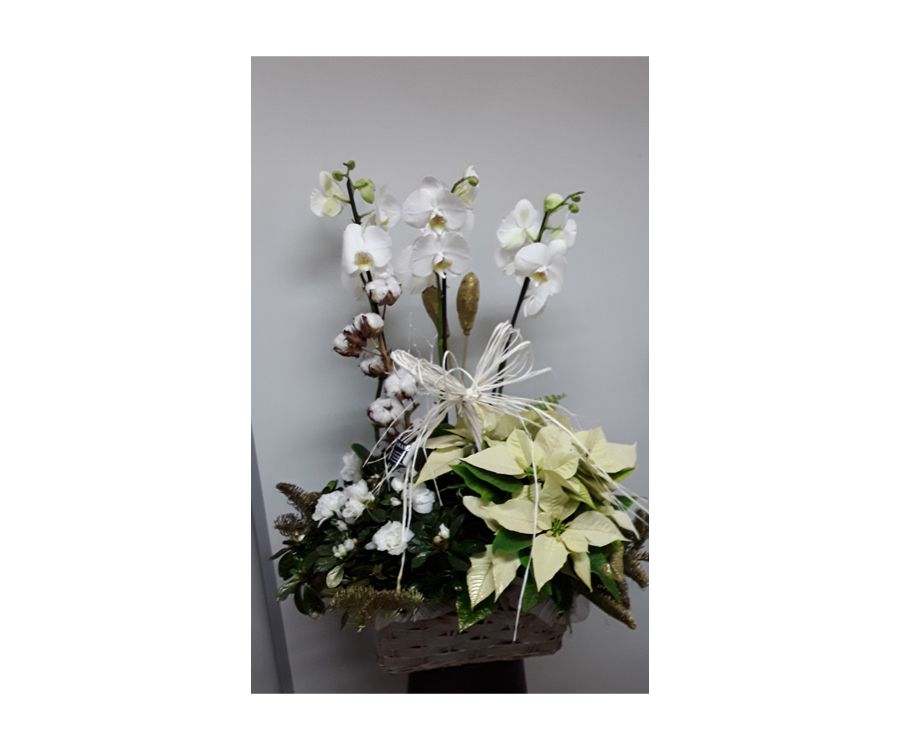 Arreglo de Navidad con orquídea, flor de pascua amarilla, azalea, flor de algodón, adornos navideños, pinsapo teñido en color dorado sobre una base de mimbre Arreglo de Navidad con orquídea, flor de pascua amarilla, azalea, flor de algodón, adornos navideños, pinsapo teñido en color dorado sobre una base de mimbre