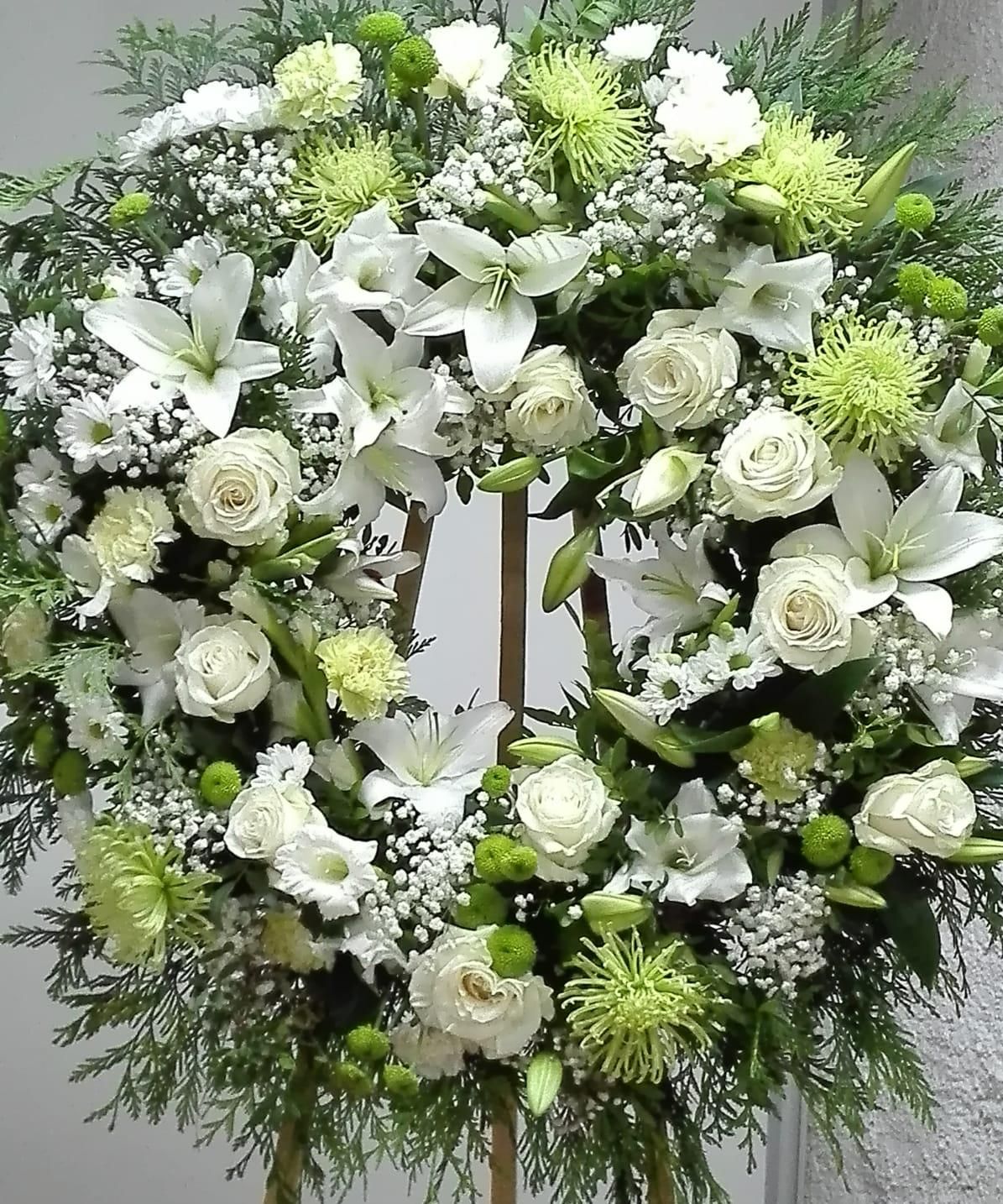 Funerarios: Catálogo de Flores Maranta Funerarios: Catálogo de Flores Maranta
