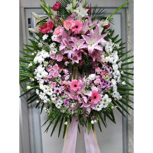 Funerarios: Catálogo de Flores Maranta Funerarios: Catálogo de Flores Maranta