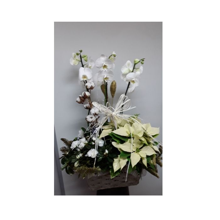 Arreglo de Navidad con orquídea, flor de pascua amarilla, azalea, flor de a Arreglo de Navidad con orquídea, flor de pascua amarilla, azalea, flor de a