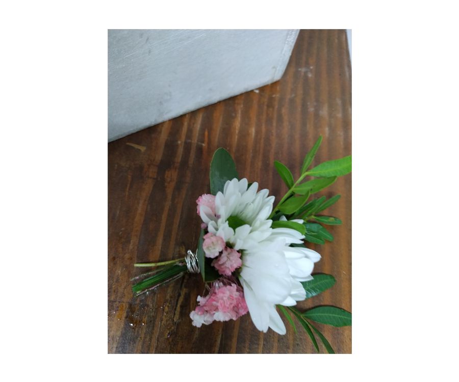 Prendidos de novios y padrinos: Catálogo de Flores Maranta Prendidos de novios y padrinos: Catálogo de Flores Maranta